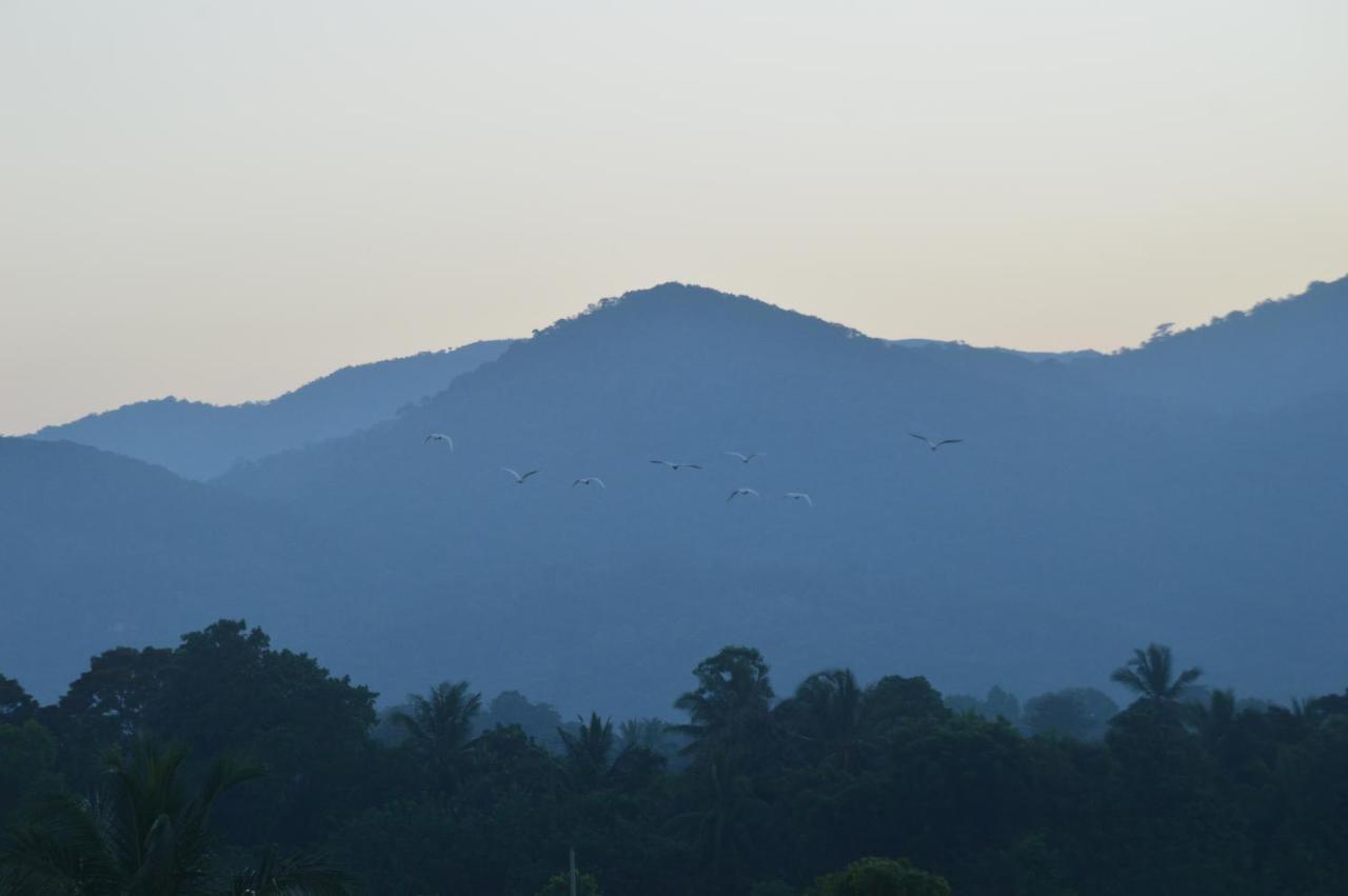 Ridge Boundary View Apartment ดัมบูลลา ภายนอก รูปภาพ