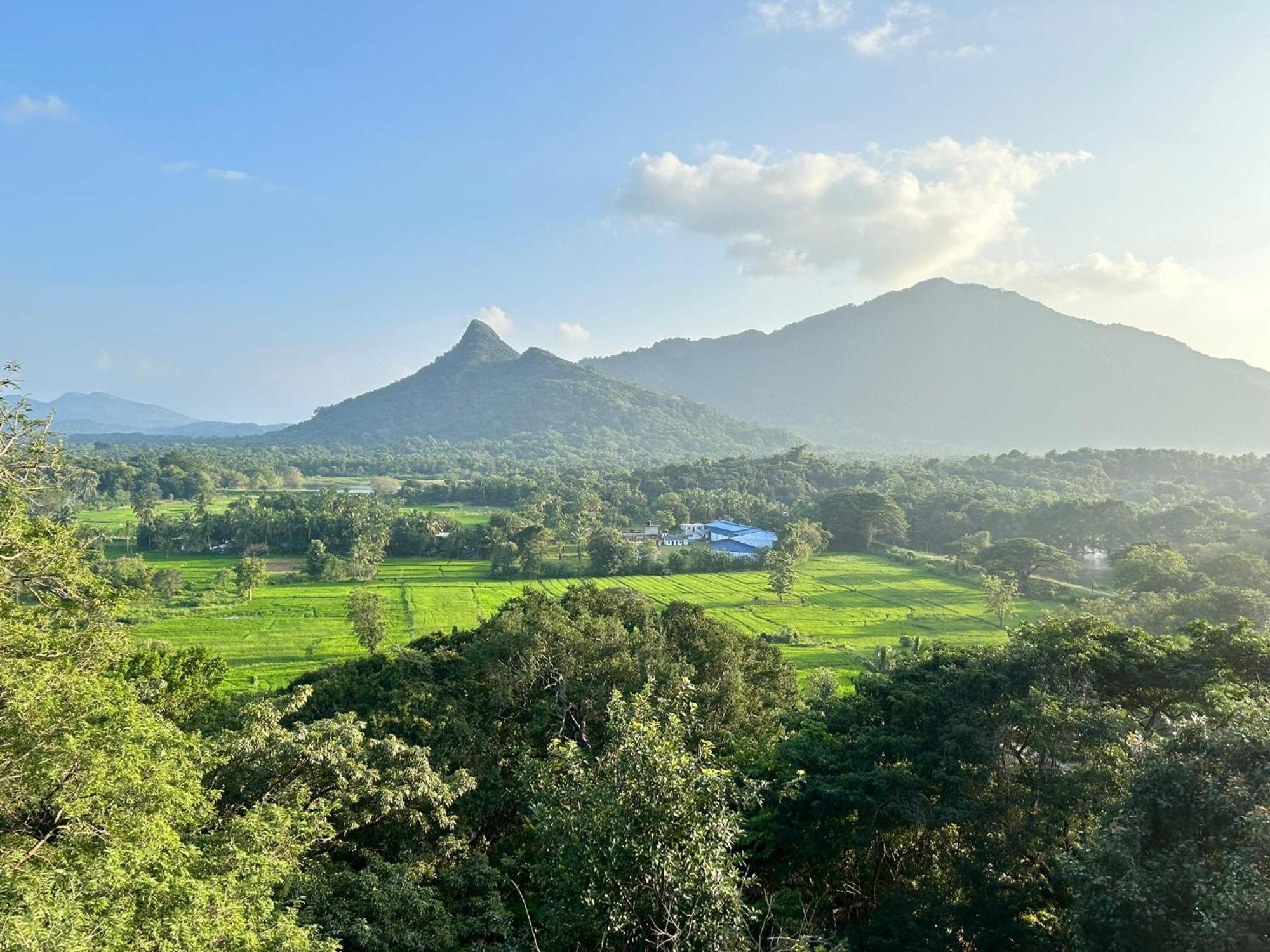 Ridge Boundary View Apartment ดัมบูลลา ภายนอก รูปภาพ
