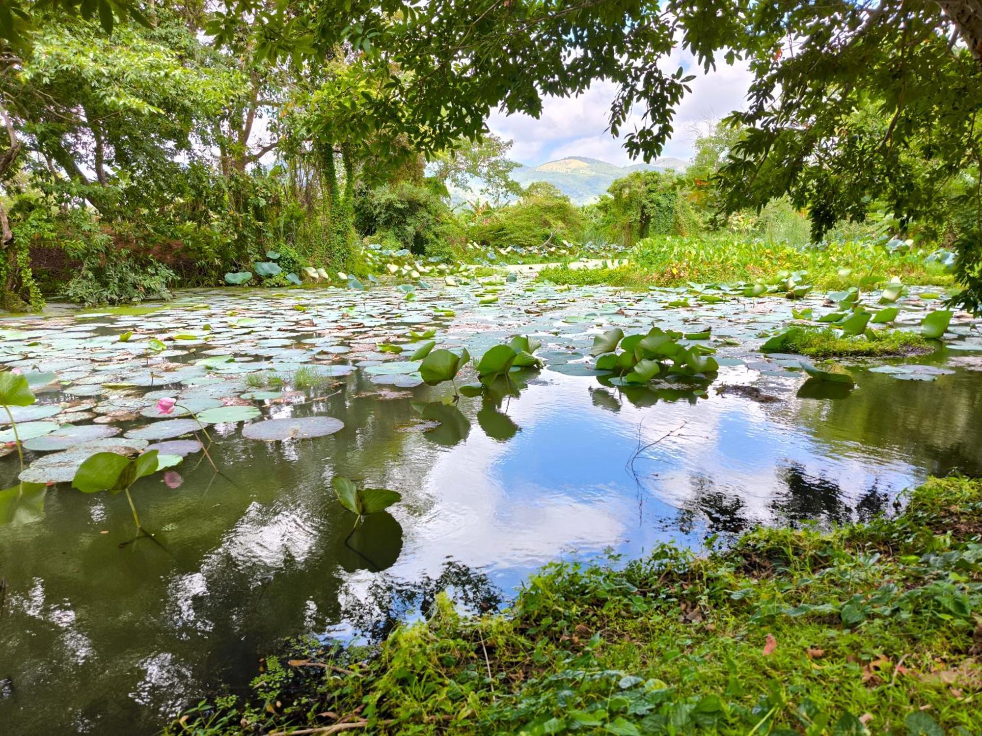 Ridge Boundary View Apartment ดัมบูลลา ภายนอก รูปภาพ