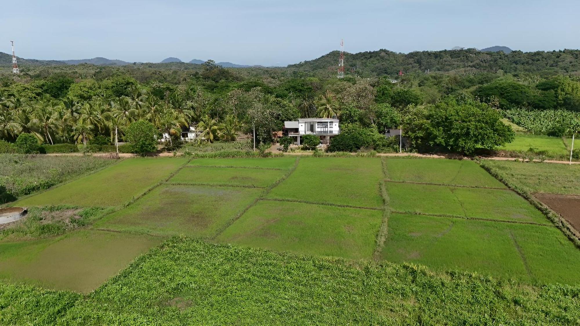 Ridge Boundary View Apartment ดัมบูลลา ภายนอก รูปภาพ